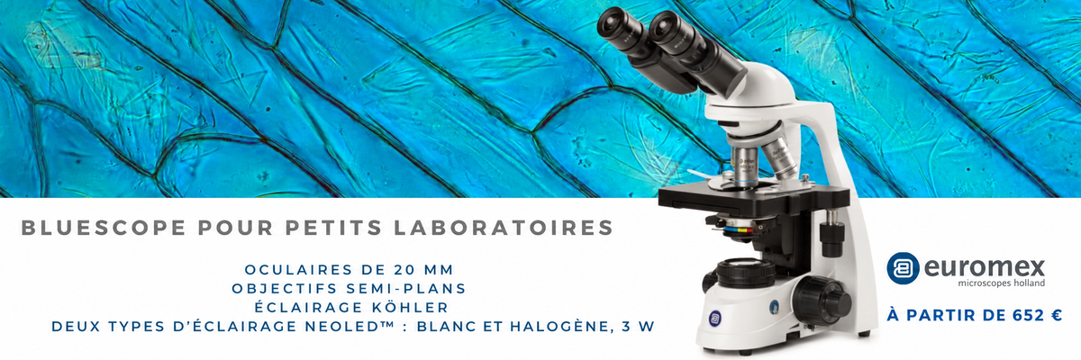 Bannière française – BlueScope pour petits laboratoires
