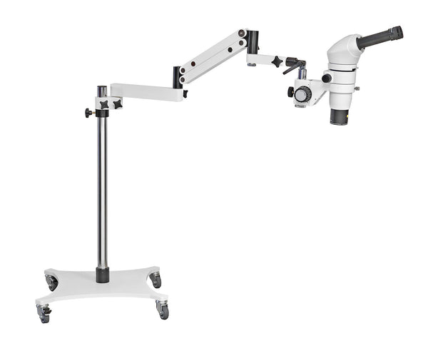 Estereo Microscopio con óptica paralela DZ ROLLING BASE Factor zoom: 6,3:1
